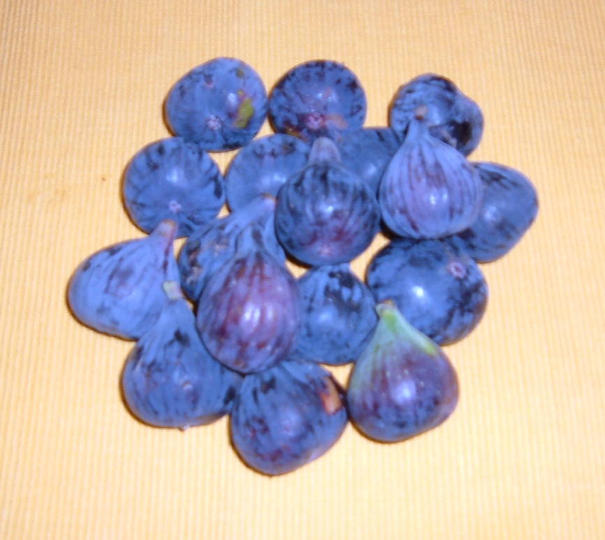 [cuello+de+dama.JPG]