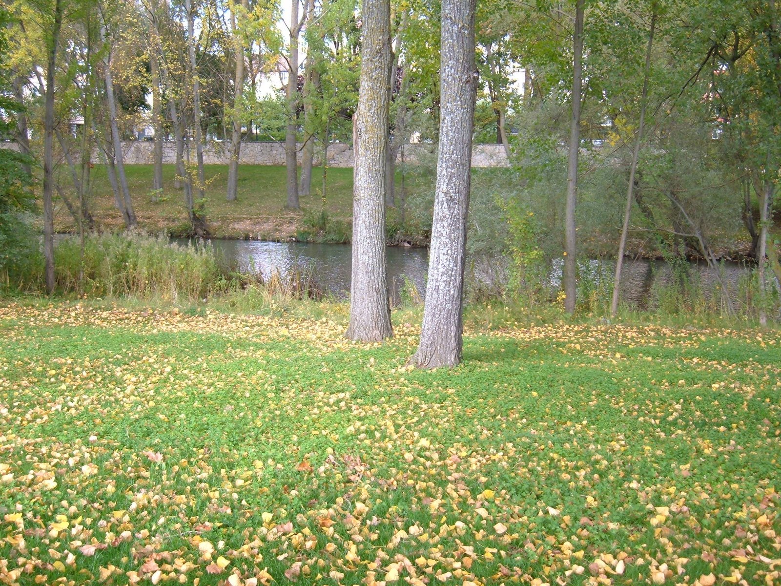 [arlanzón+octubre+de+2007.JPG]