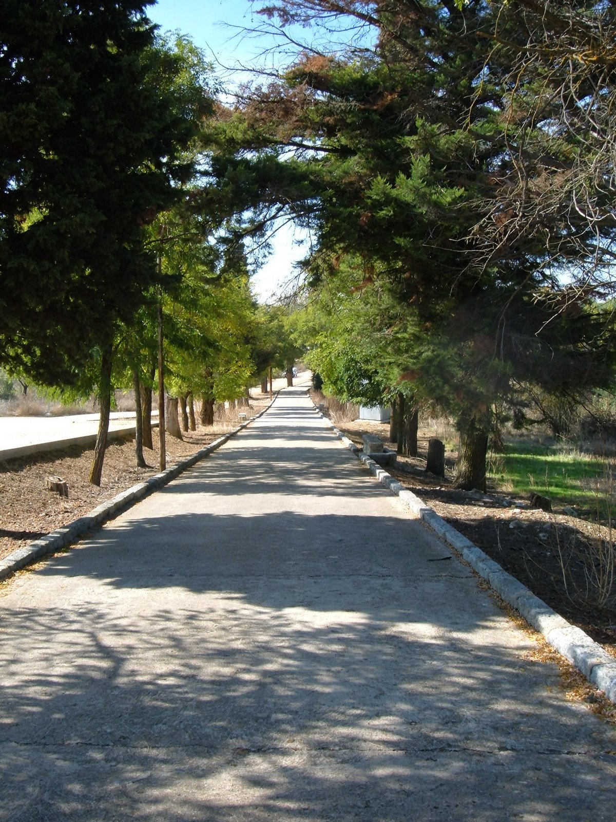 [bajada+del+cementerio+de+rioseco+(1).JPG]