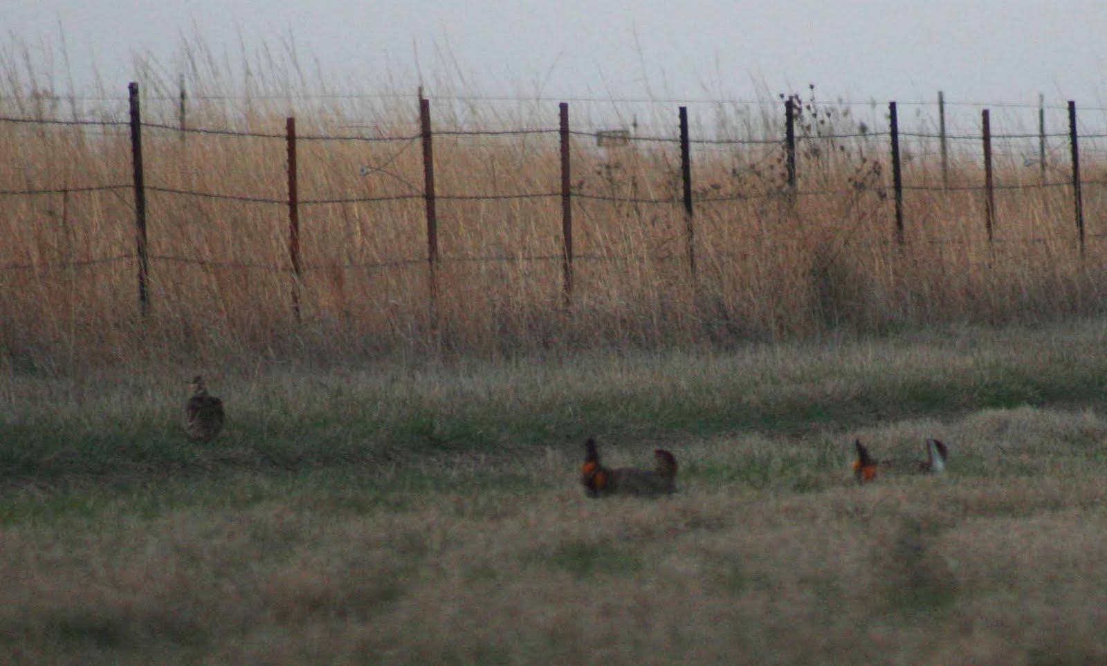 There and Back Again