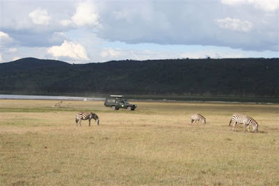 Kenya Lake Nakuru