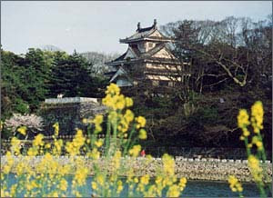 Toyohashi Yoshida Castle