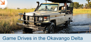 Botswana Okavango Delta Game Drives