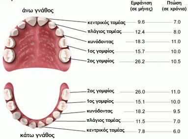 ποσα δοντια αλλαζουν τα παιδια