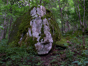 Rock Face