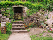 Spring Well