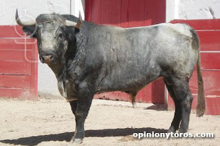 Blanco y Oro: * Pelajes del toro (Capítulo III)