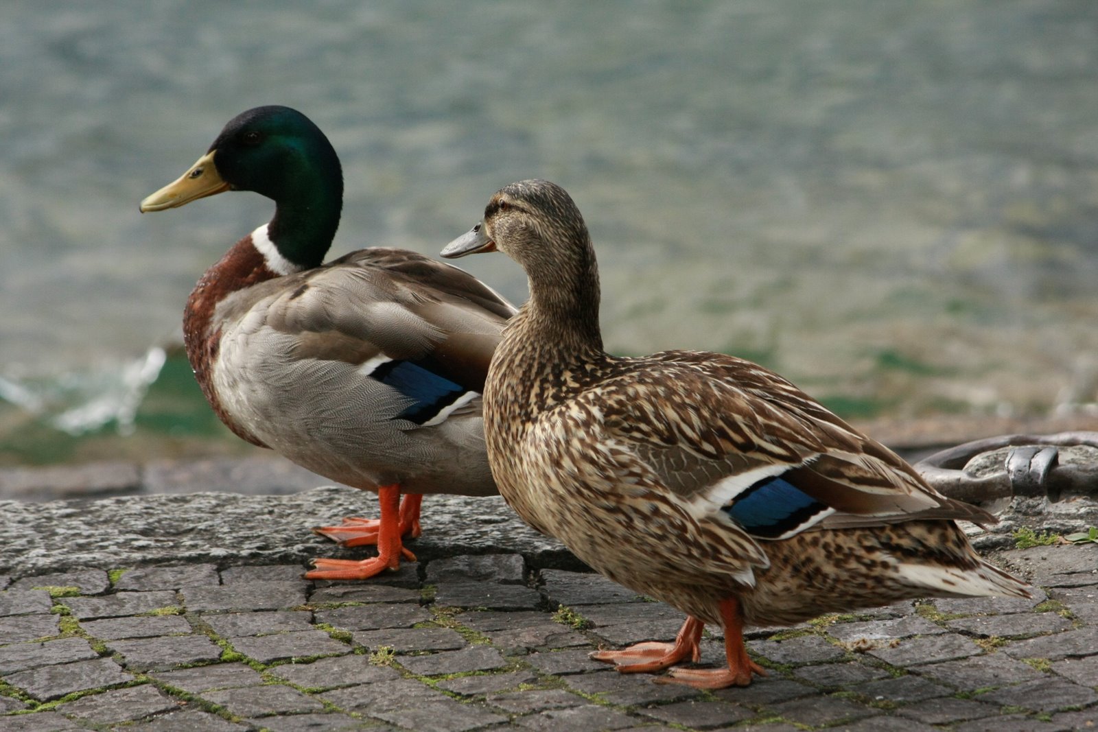 [IMG_7282.jpg]