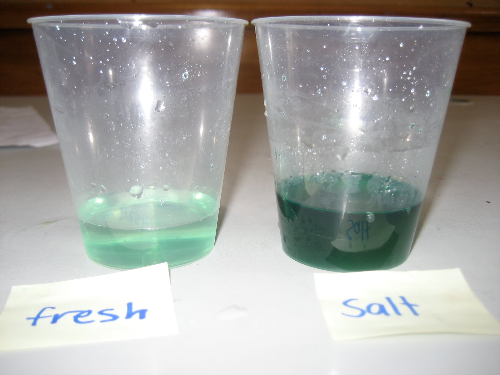 Density Of Salt Water Vs Fresh Water