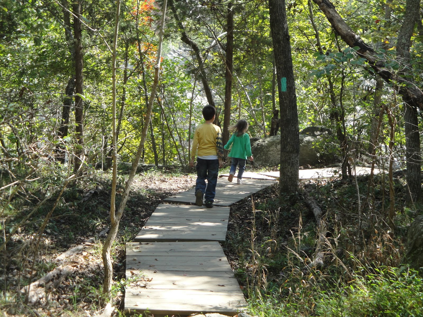 [DSC02144.JPG]
