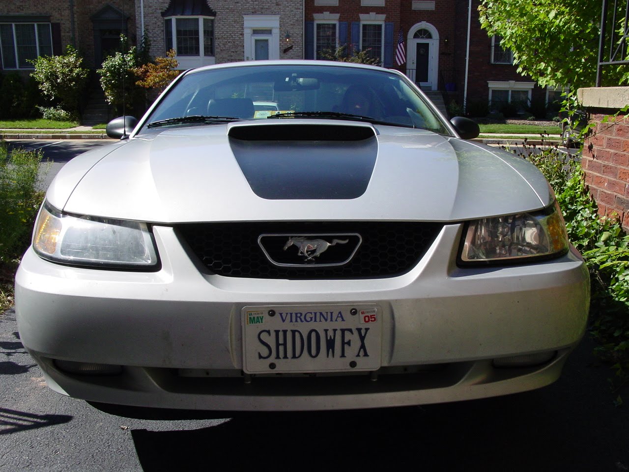 [SHDOWFX+2.JPG]