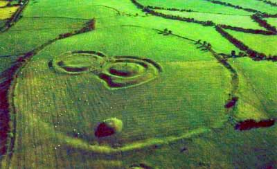 [tara-aerial-1.jpg]