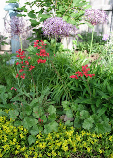 Seattle Garden Ideas Changing My Mind About Spirea