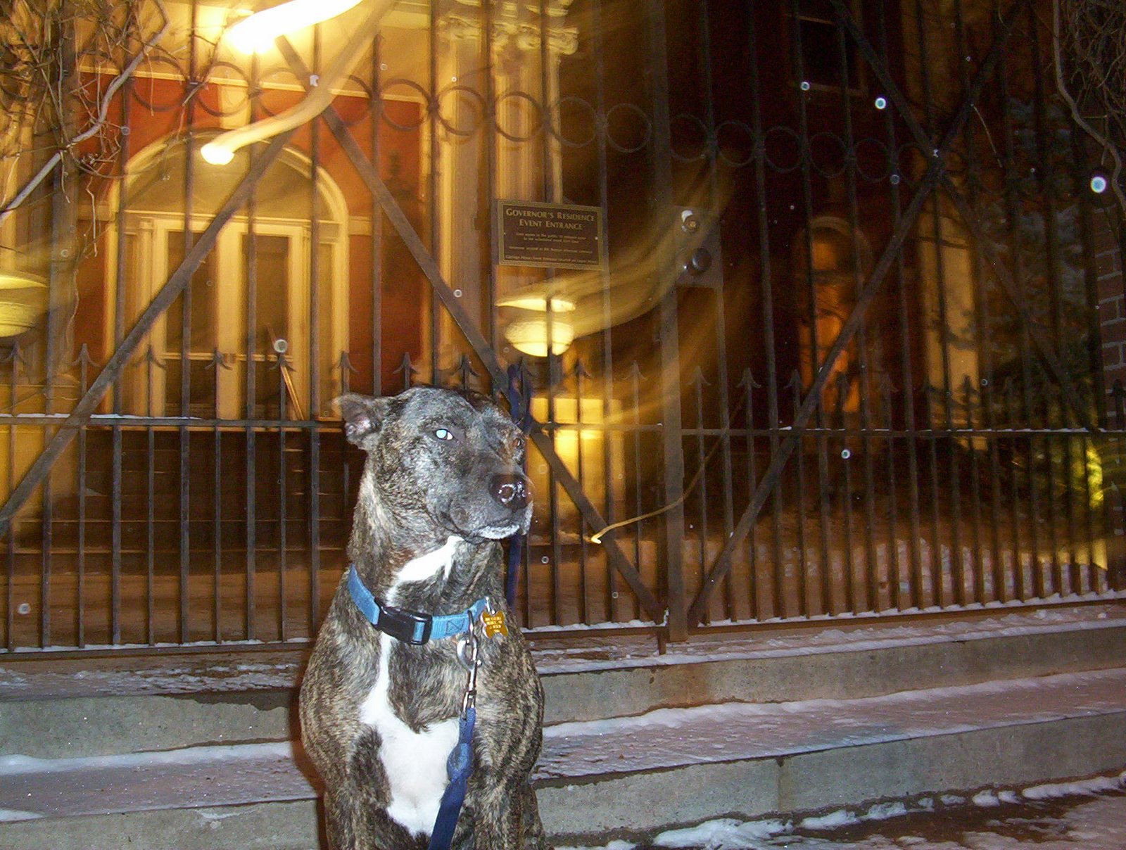 [snowy+night+005.JPG]