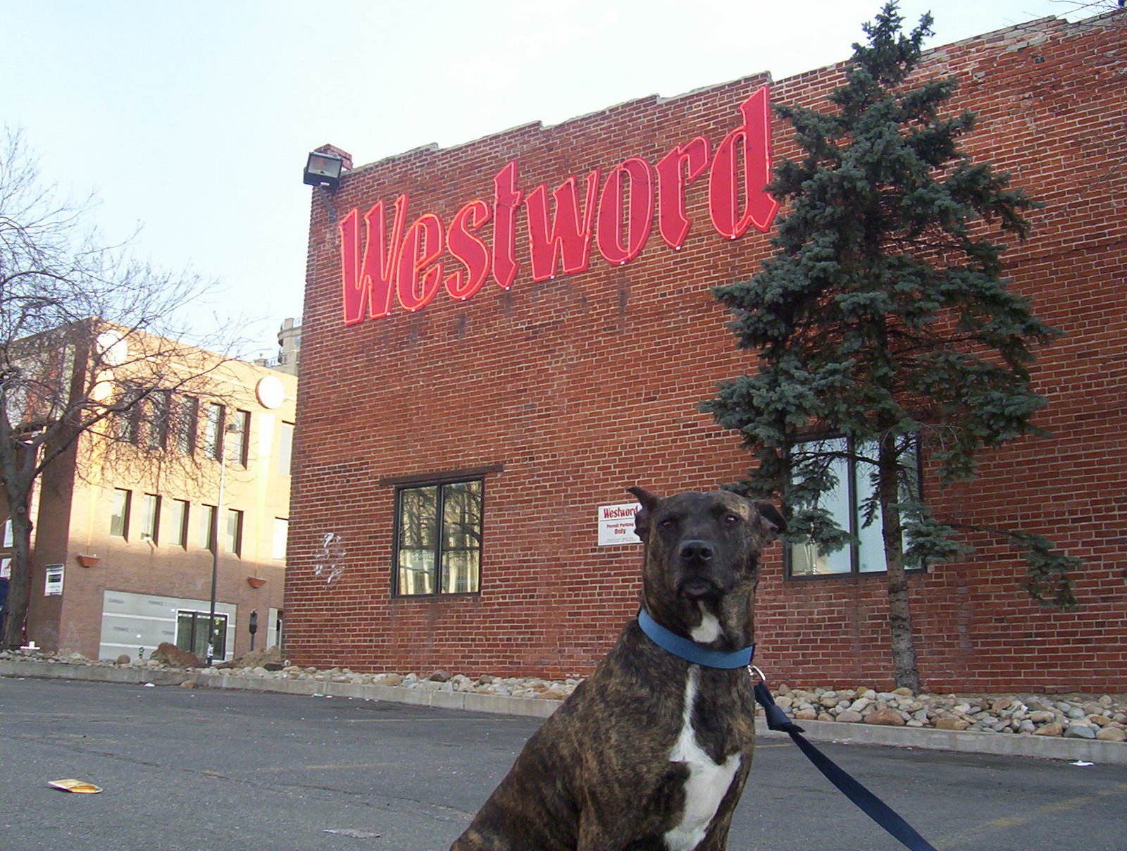 [westword.JPG]
