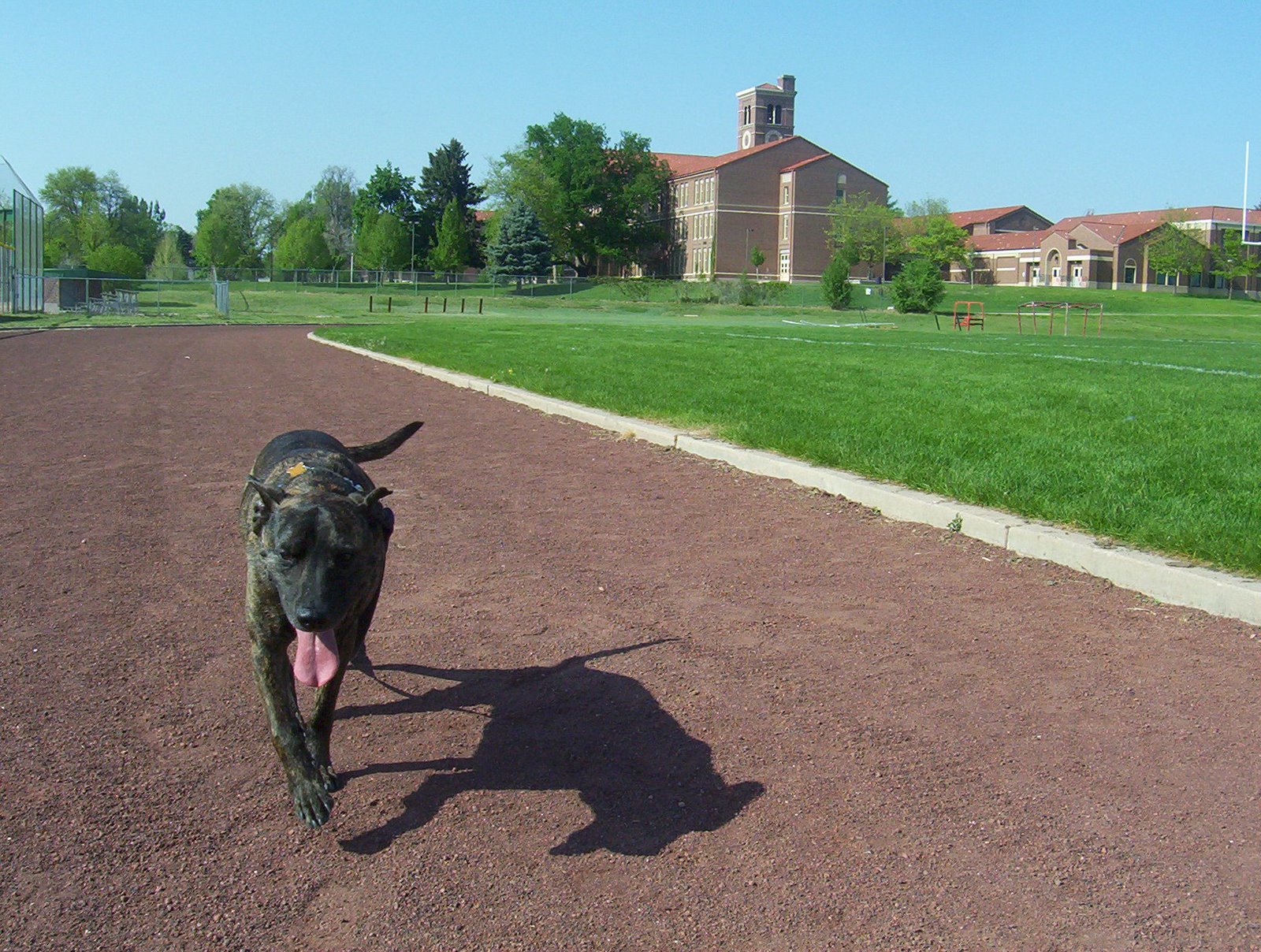 [6.4.09+high+school+track.JPG]