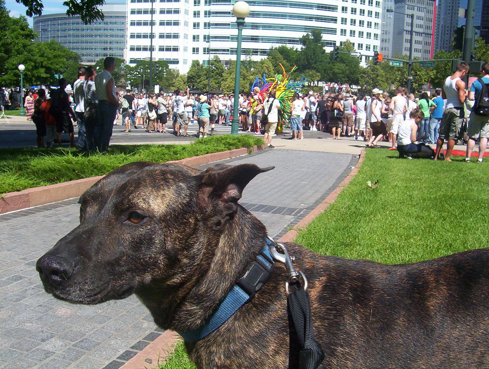 [pridefest+016.JPG]