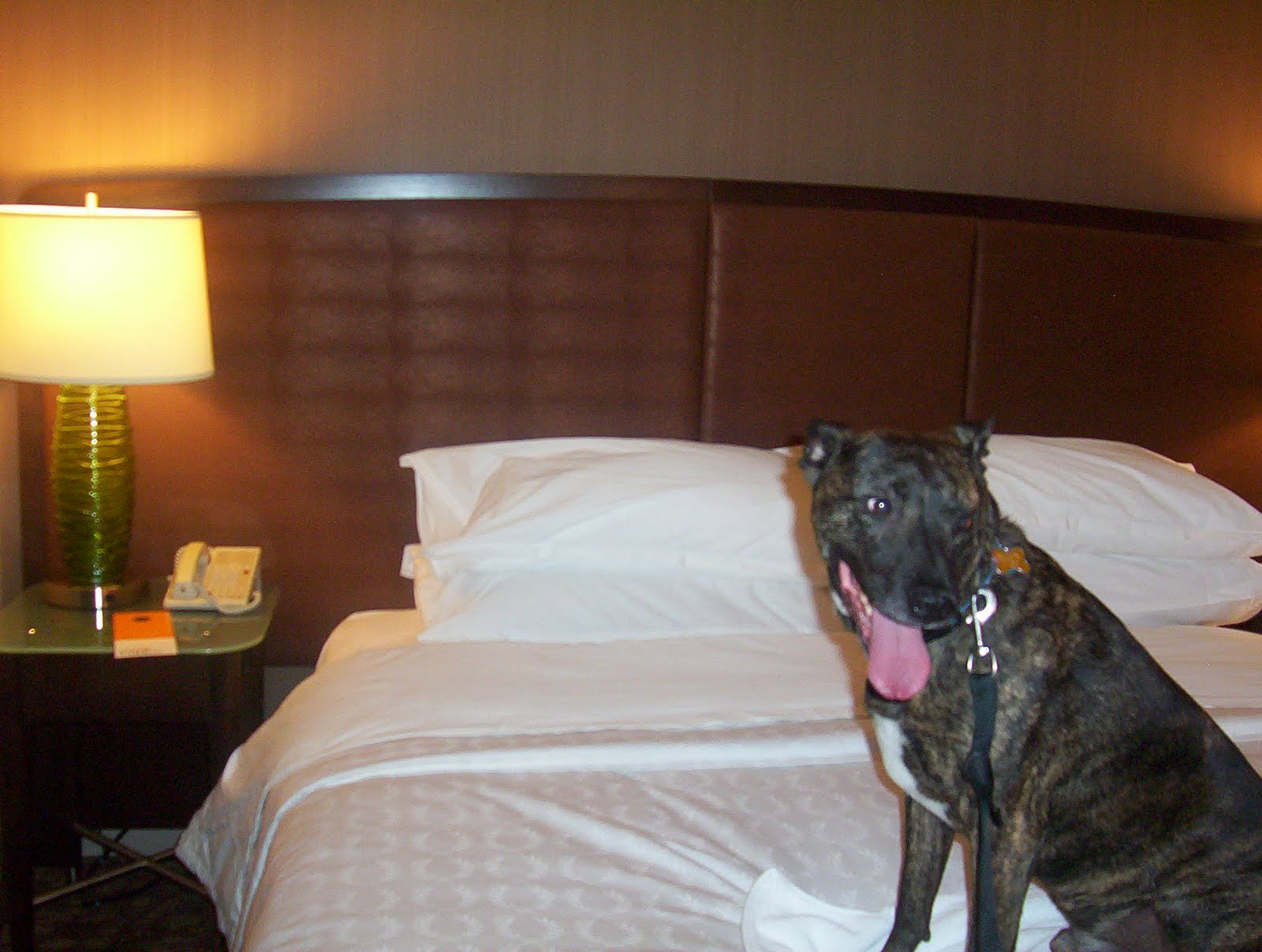 [hotel+015.JPG]