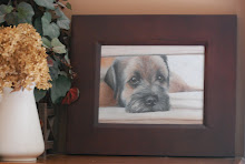 PERFECT PET PORTRAITS by Lisa White