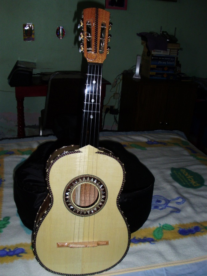 DON CORTEZ MICAS DE VIHUELA PICK GUARD CLEAR WITH ADHESIVE MICA TRANPARENTE - Foto 12