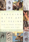 TRACKING & THE ART OF SEEING