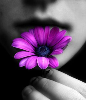 [beijo_interior2.jpeg]