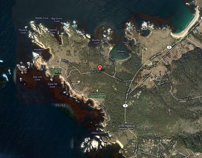 Summer with the kids in the Bay Area: Trip #1 - Point Lobos