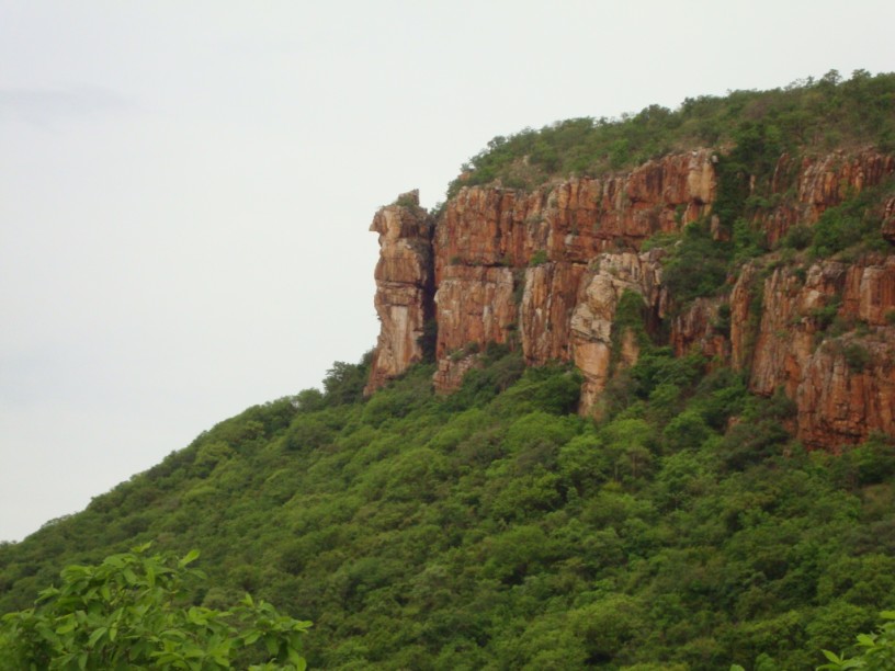 [DSC01562.jpg]