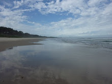 Low lying coastal beach NSW