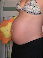 32 semanas