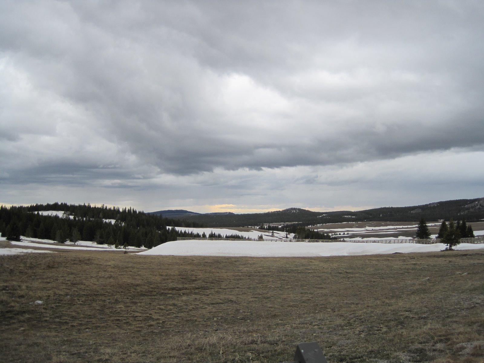Merry Pursuits Powder River Pass, Wyoming
