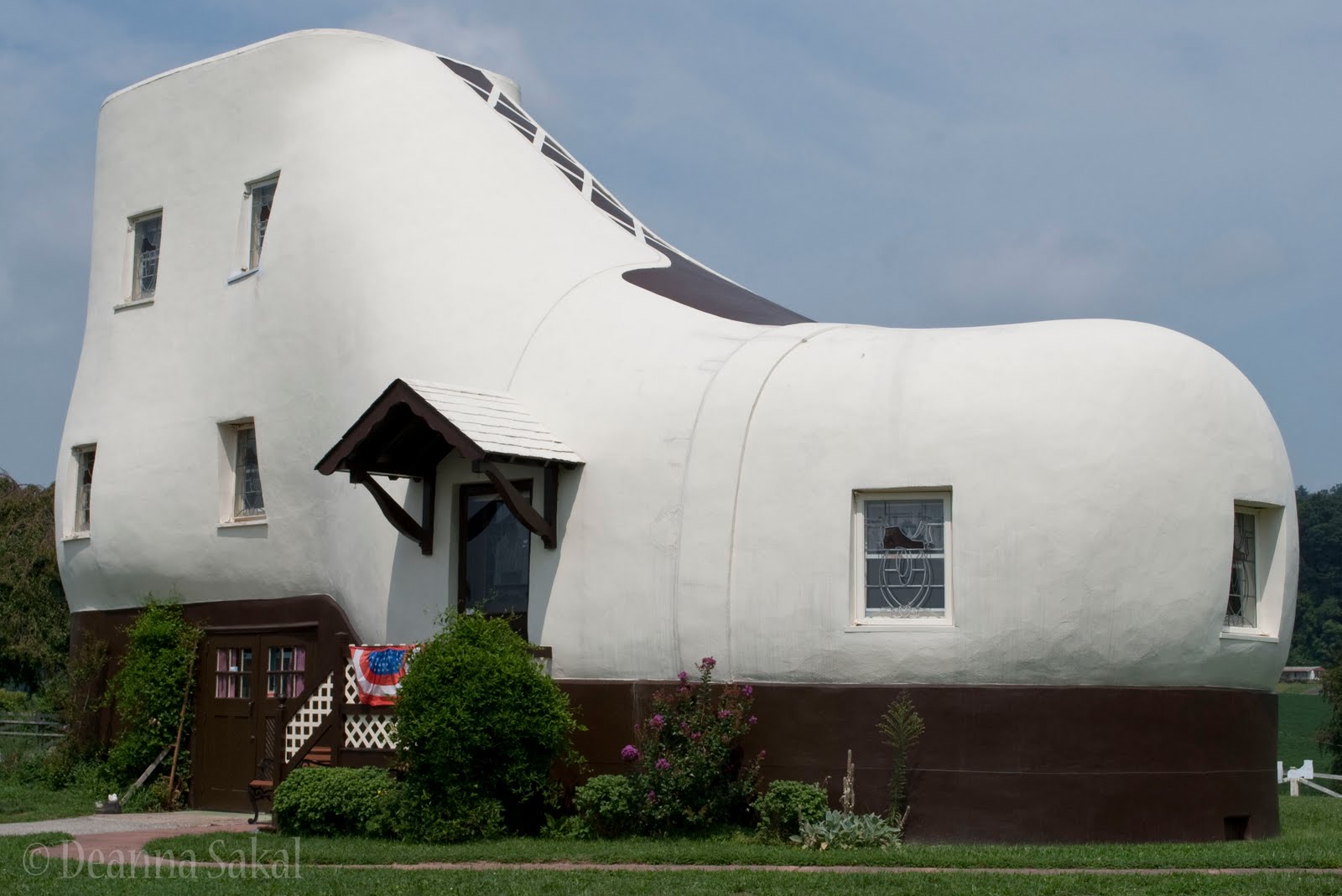 Black and White Color Lived in a Shoe?