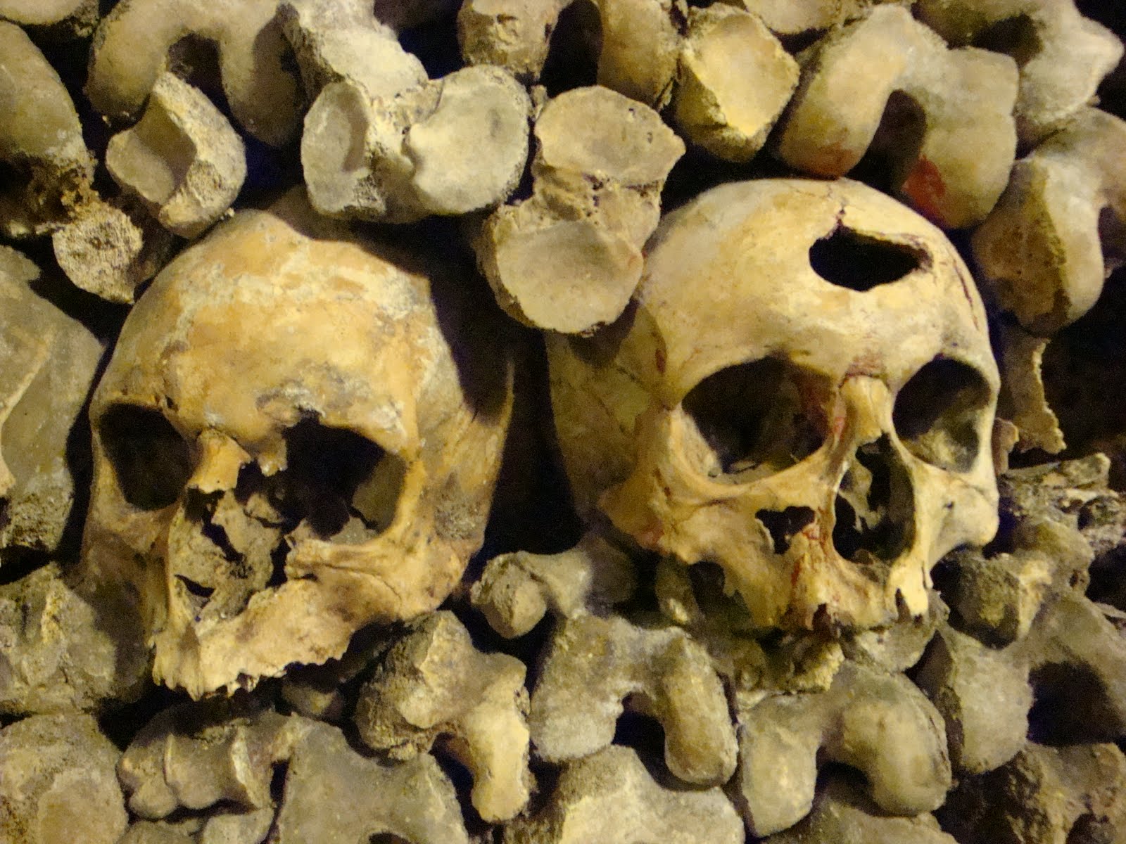 Pallida Mors æquo Pulsat Pede Pauperum Tabernas Regumque Turres