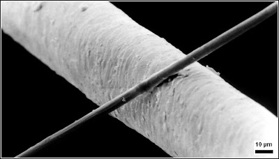 Comparación de un filamento de carbono de 6 μm con un cabello humano