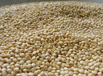 Quinoa y Amaranto: Cereales sagrados.