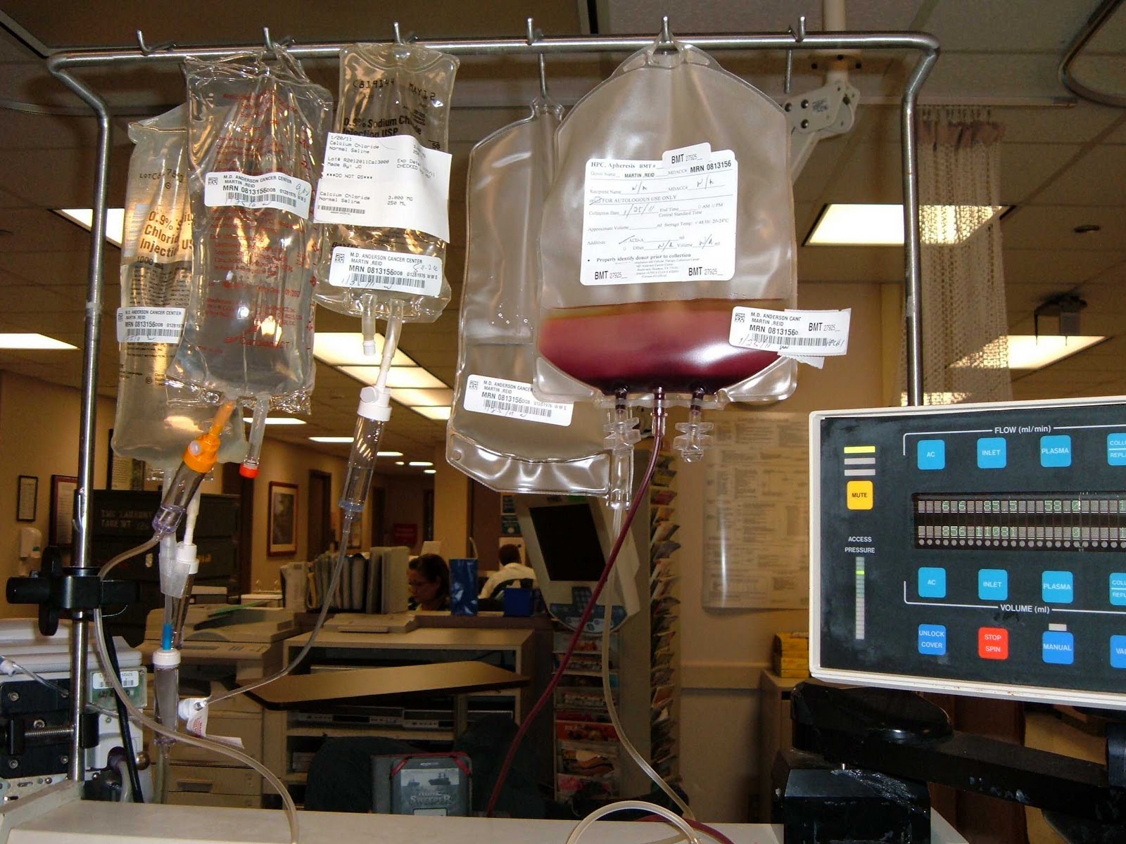 DayDreamnWorld Stem Cell Collection