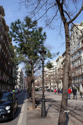 TOT PASSEJANT El PI, de Josep Maria Pi i Sunyer