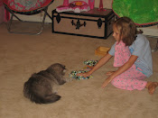 My cat Boo!