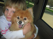 My dog Kaci