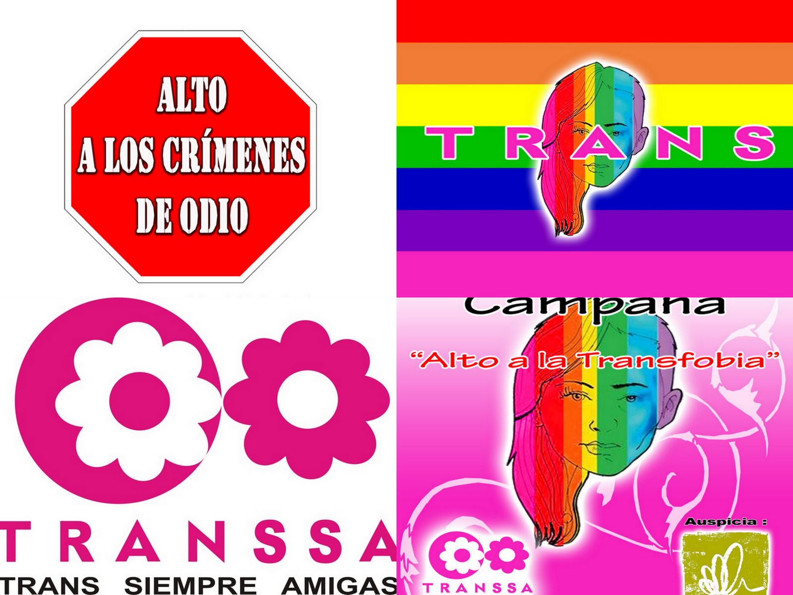 Alto a la Transfobia
