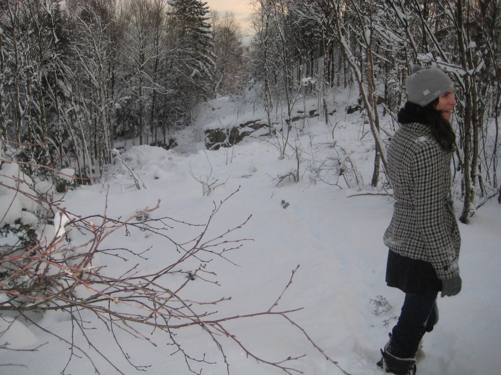 Marianne`s aktivitets & hobbyblogg Tur i skogen i julen