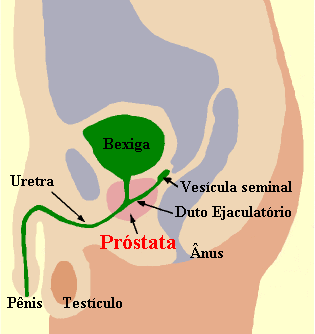 Dr. Deo de Freitas: Prostata - Importância do Exame da Prostata