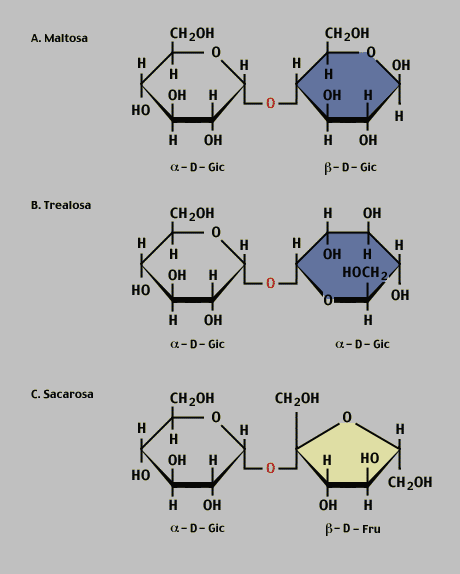 [composicion+disacardos.gif]