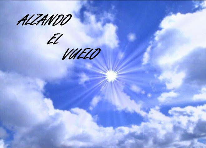 Alzando el vuelo