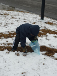 David "Saving" the Snow