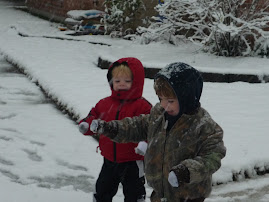 Little Boys in Snow