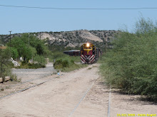 FERROCARRIL EN CUYO