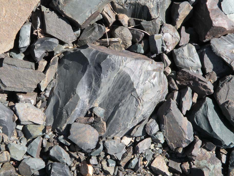 Elfshot Collecting Chert