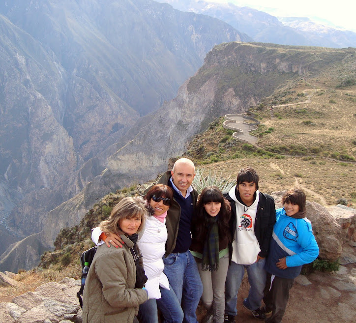 Esperando a los cóndores