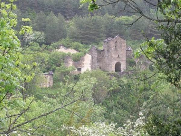 O Charraire: A Plevia Amariella